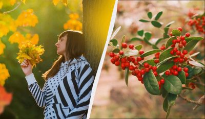 Кого вітають 22 листопада: цікаві факти та прикмети у свято сьогодні