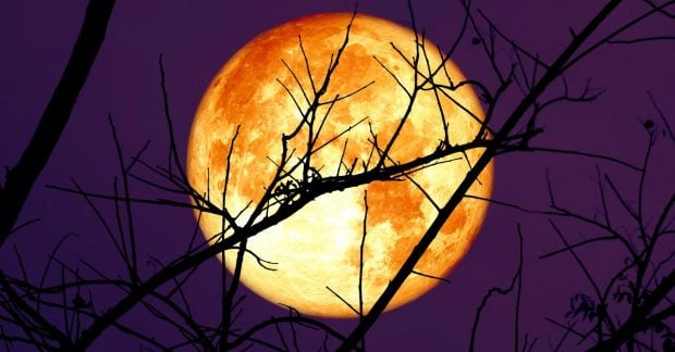 астероїд, який загрожував Землі, скоро може врізатися в Місяць