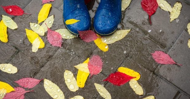 Синоптикиня Діденко повідомила, де 12 листопада буде набільше дощів