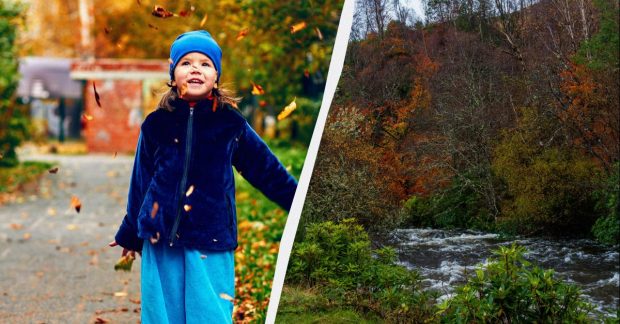 Яке сьогодні свято 18 листопада 2025