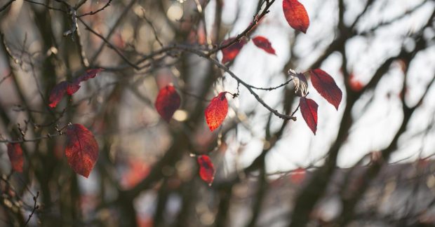 Погода в Україні