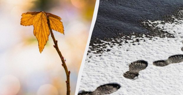 Погода завтра - Діденко розповіла, де в Україні потепліє у п'ятницю - УНІАН