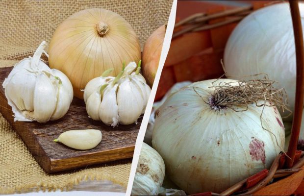 Не в холодильнике: где хранить лук и чеснок месяцами, чтобы не гнили и не прорастали
