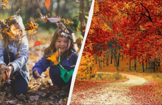 Дома запрещено делать два действия: про что надо знать в праздник 10 ноября 2025