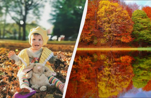 Чего нельзя говорить близким сегодня: приметы в праздник 12 ноября 2025