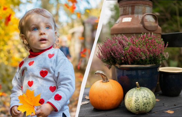 Чому 17 листопада потрібно привітати молодь: прикмети і заборони у свято сьогодні