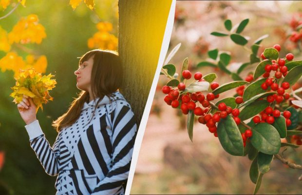 Кого вітають 22 листопада: цікаві факти та прикмети у свято сьогодні