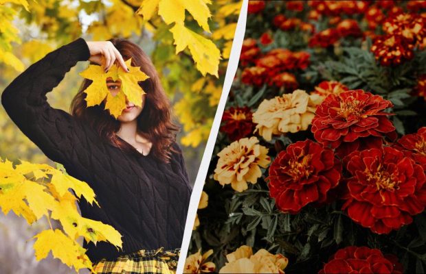 Чого категорично не можна говорити сьогодні: важливі звичаї у свято 23 листопада 2025