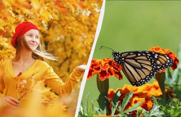 Жінкам заборонено робити три справи: що за свято 24 листопада і які його звичаї