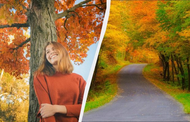 Чому сьогодні потрібно багато працювати: прикмета на щастя у свято 26 листопада 2025