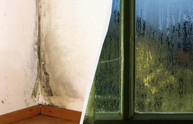 У квартирі більше не буде вогкості, а на вікнах - конденсату: ось що потрібно зробити