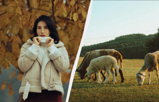 В Україні настає молоде свято: що відзначити 28 листопада і які прикмети дня