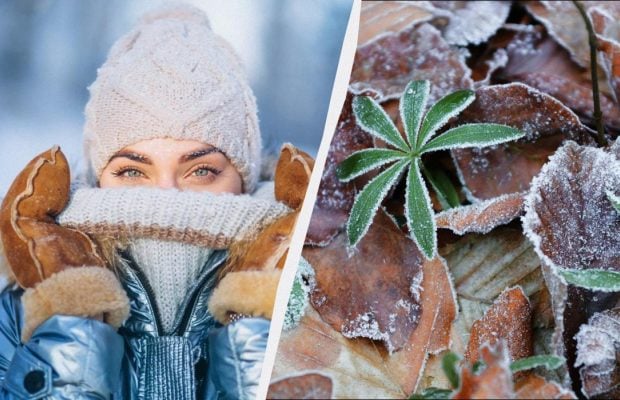 Що зробити на удачу в перший день зими: усі свята та звичаї 1 грудня 2025