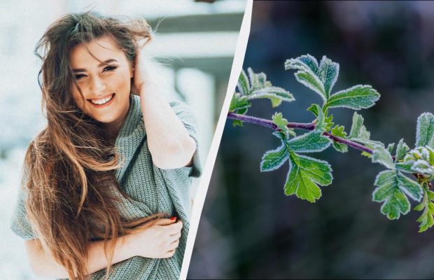 Що сьогодні потрібно принести в дім для щастя: звичаї на свято 2 грудня 2025