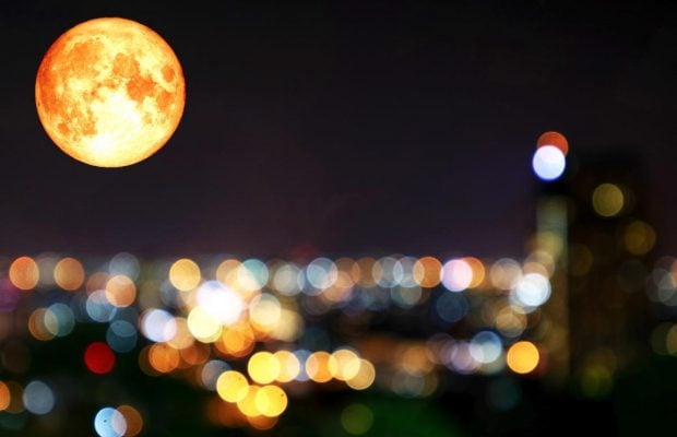 Гроші, кохання та удача в дорозі: що і коли обіцяє місячний календар у грудні 2025