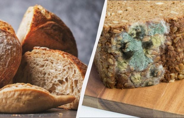 Чому хліб пліснявіє і чи можна зрізати цвіль та з'їсти решту: поради від лікаря