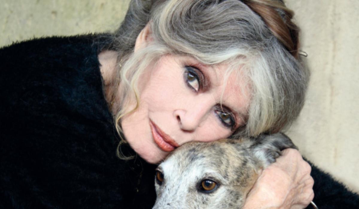 Фото instagram/fondationbrigittebardot