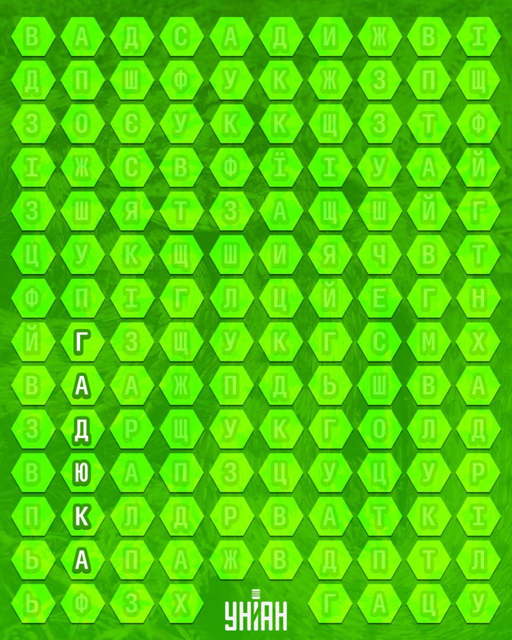 колаж УНІАН колаж УНІАН