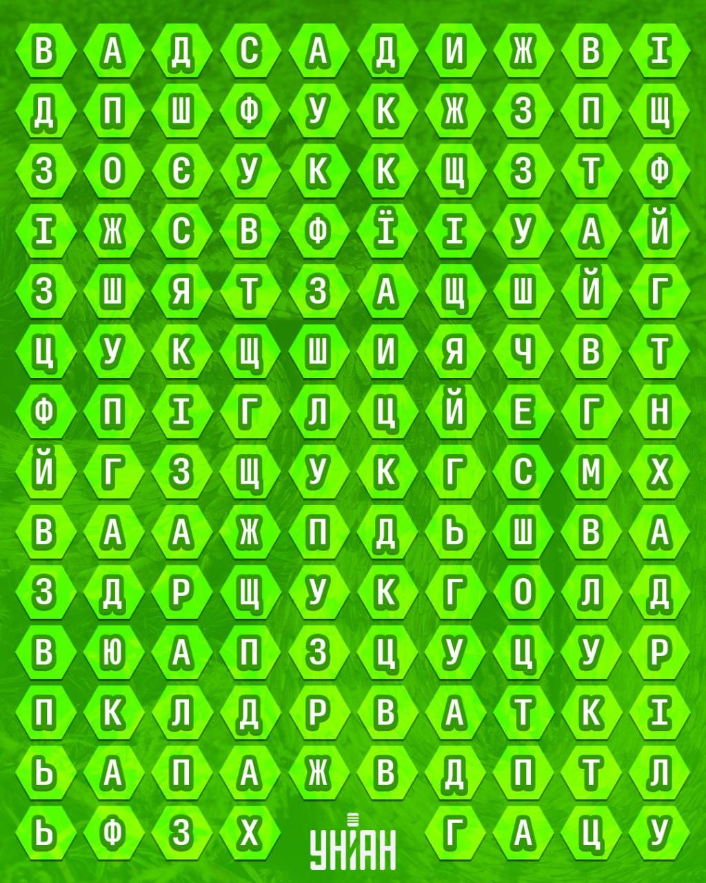 колаж УНІАН колаж УНІАН