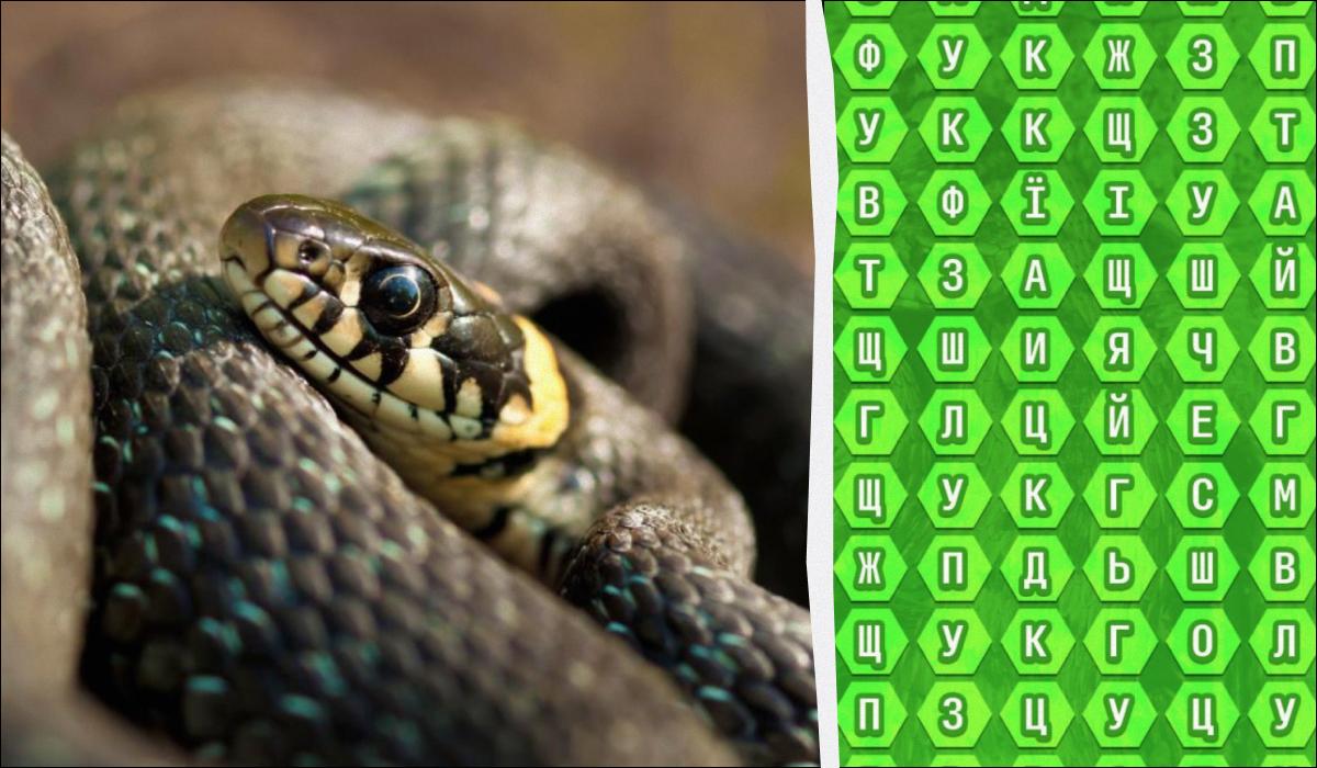 Зколаж УНІАН, фото ua.depositphotos.com Зколаж УНІАН, фото ua.depositphotos.com