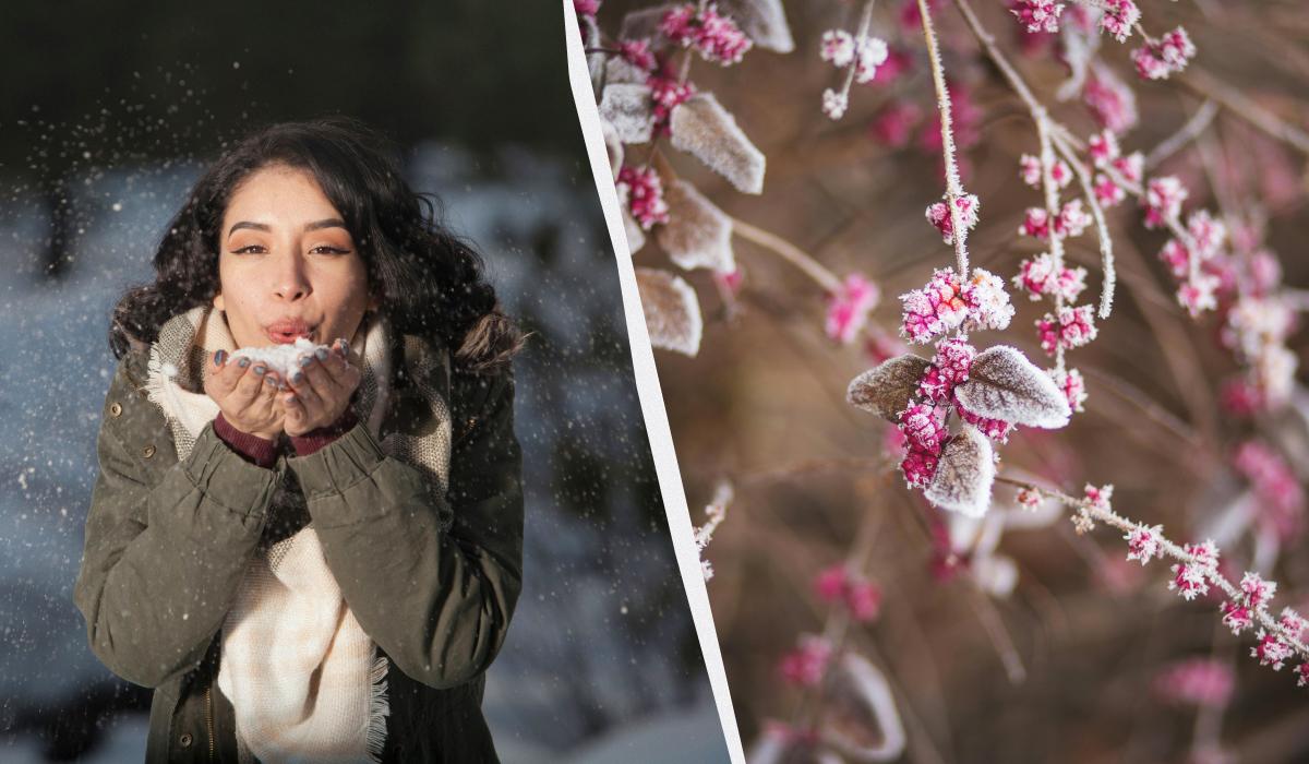 яке сьогодні свято