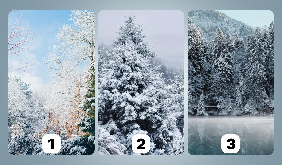 Վիկոլաժ Յունիան