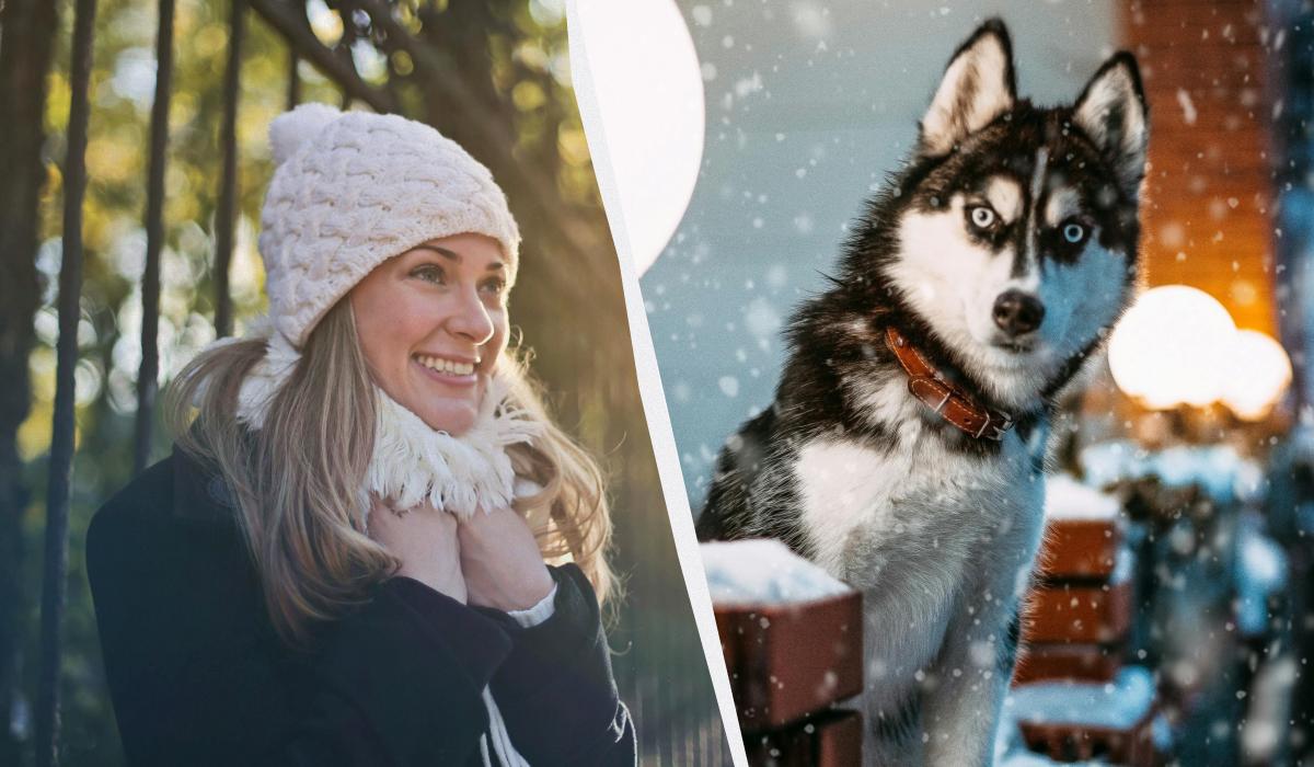 какой сегодня праздник какой сегодня праздник