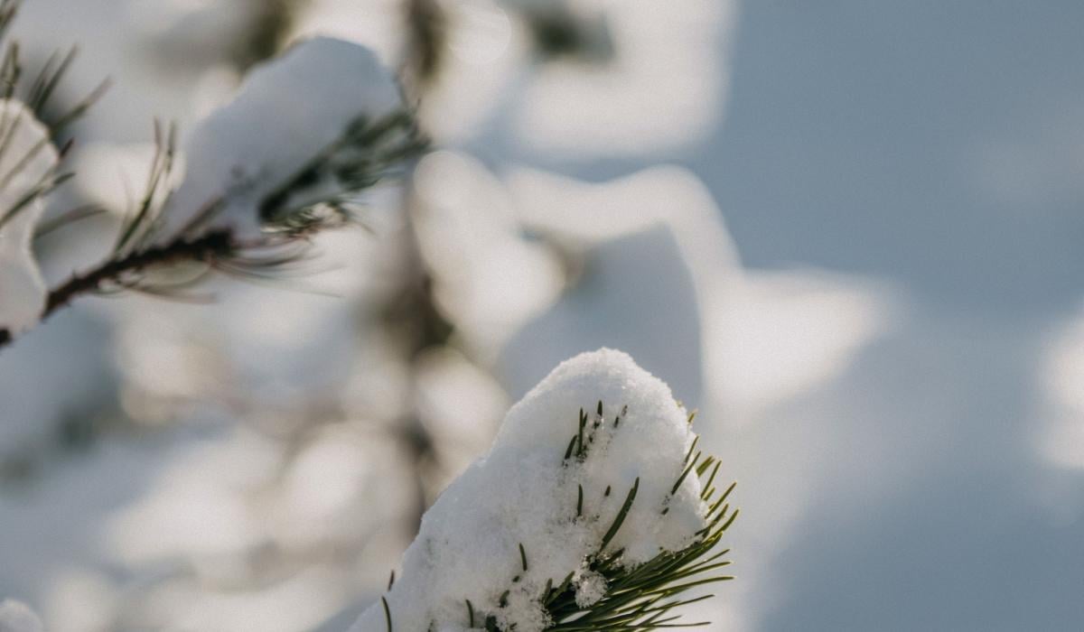 Прикмети на сьогодні