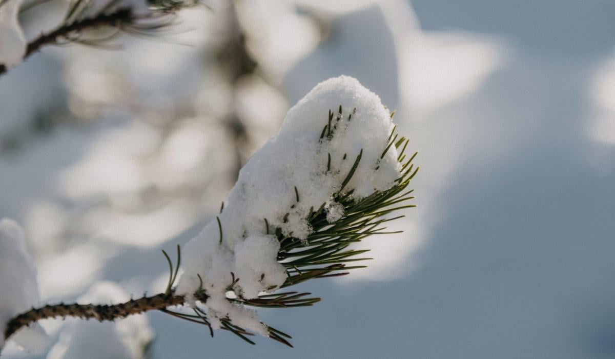 Прикмети на сьогодні