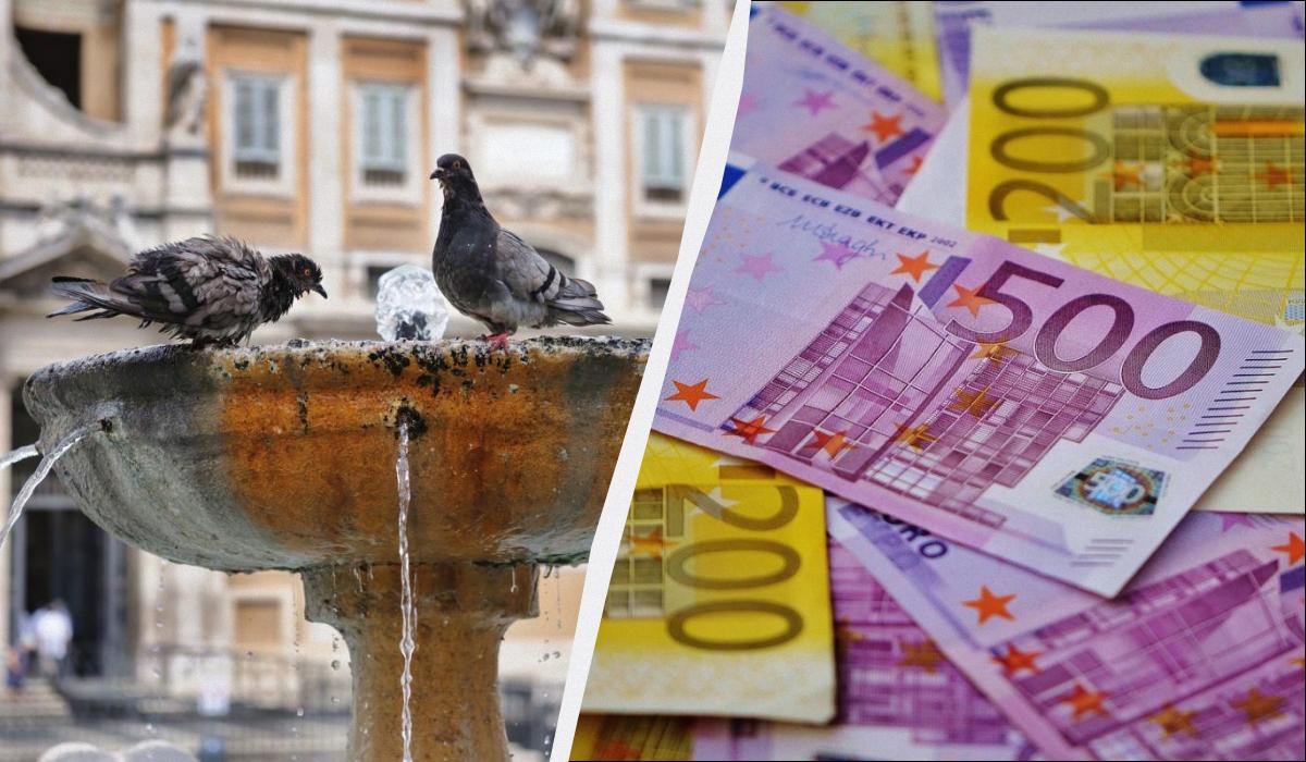 где нельзя кормить голубей где нельзя кормить голубей