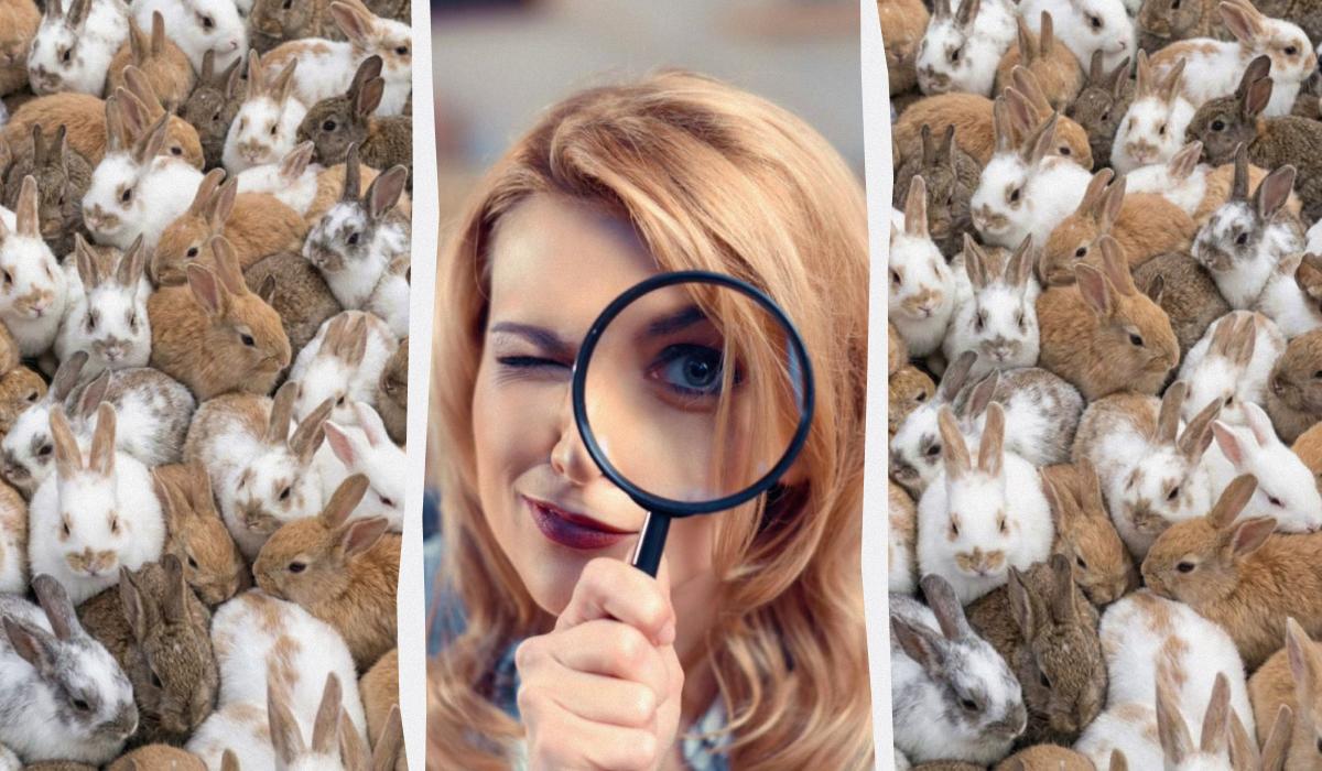 коллаж УНИАН, фото ua.depositphotos.com