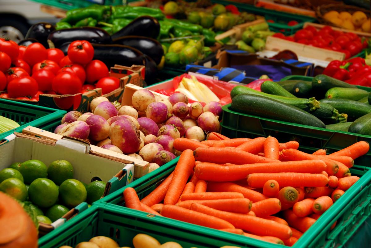 'ЄС разом з Україною стане найбільшим виробником аграрної продукції у світі', - експертка Олександра Авраменко