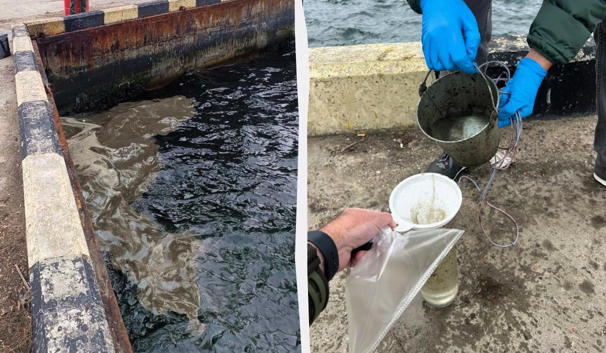 Сумма экологических убытков составляет более 13 млрд грн / коллаж УНИАН, фото Государственной экологической инспекции Юго-Западного округа