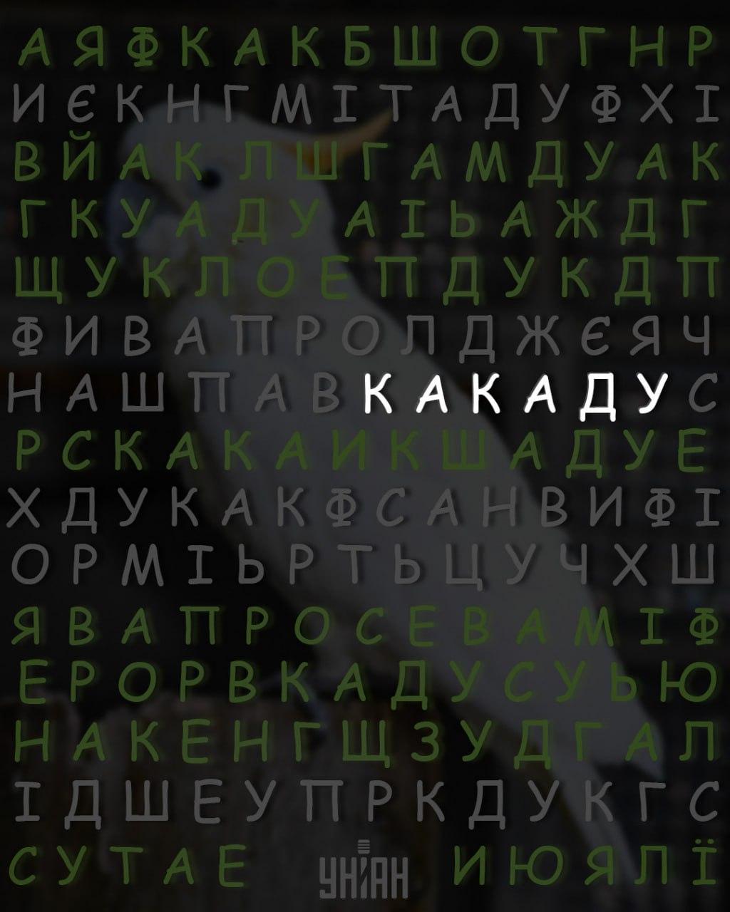 колаж УНІАН колаж УНІАН