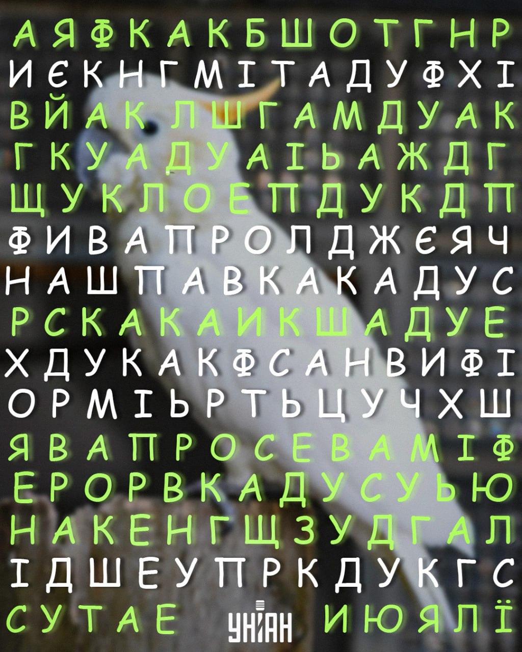 колаж УНІАН колаж УНІАН