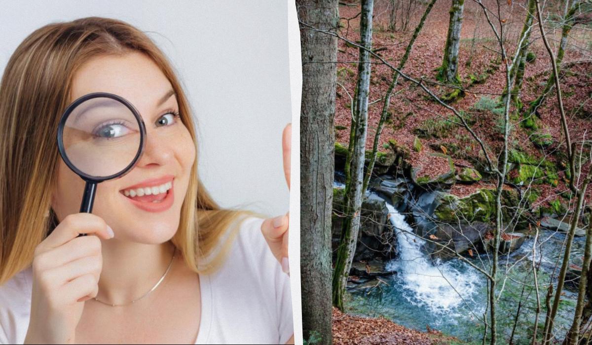 колаж УНІАН, фото УНІАН, Немеш Янош колаж УНІАН, фото УНІАН, Немеш Янош