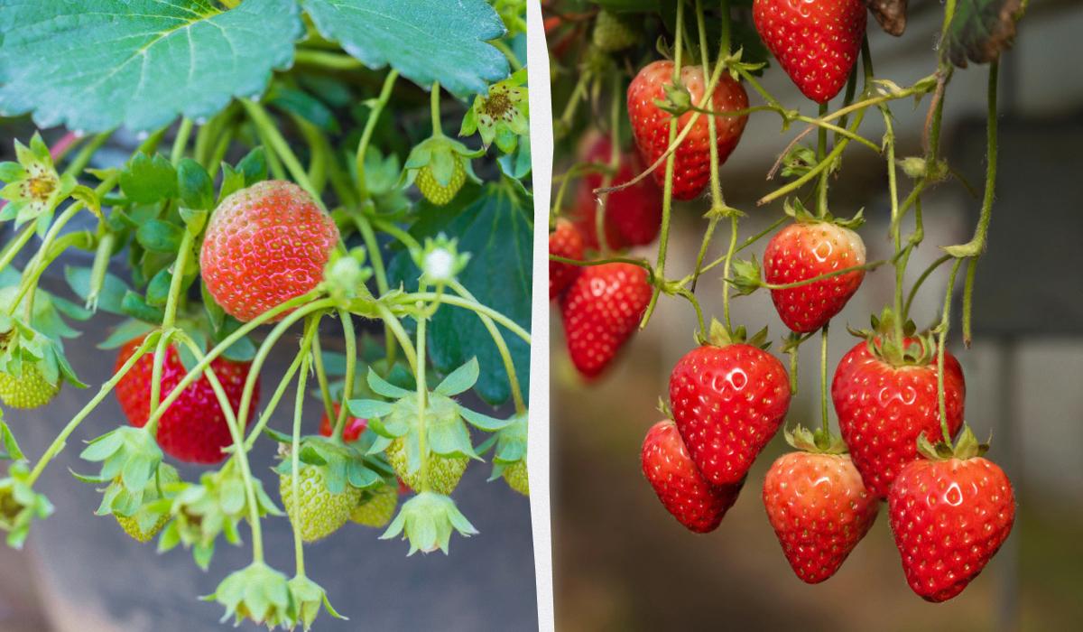 ua.depositphotos.com ua.depositphotos.com