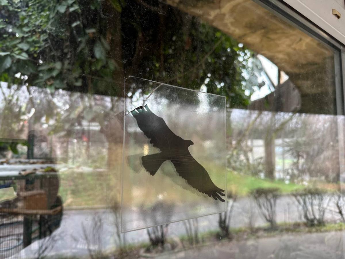 фото УНИАН, Катя Присяжнюк фото УНИАН, Катя Присяжнюк