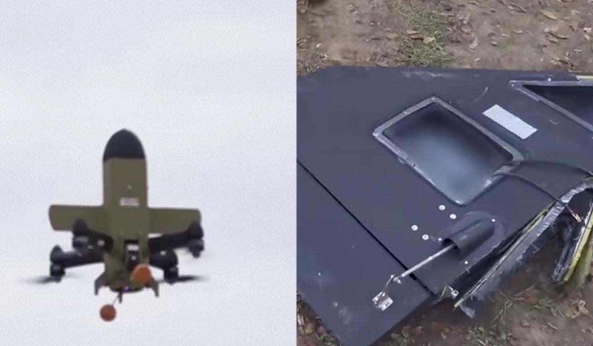 Колаж: УНІАН, фото: скріншот з відео Колаж: УНІАН, фото: скріншот з відео