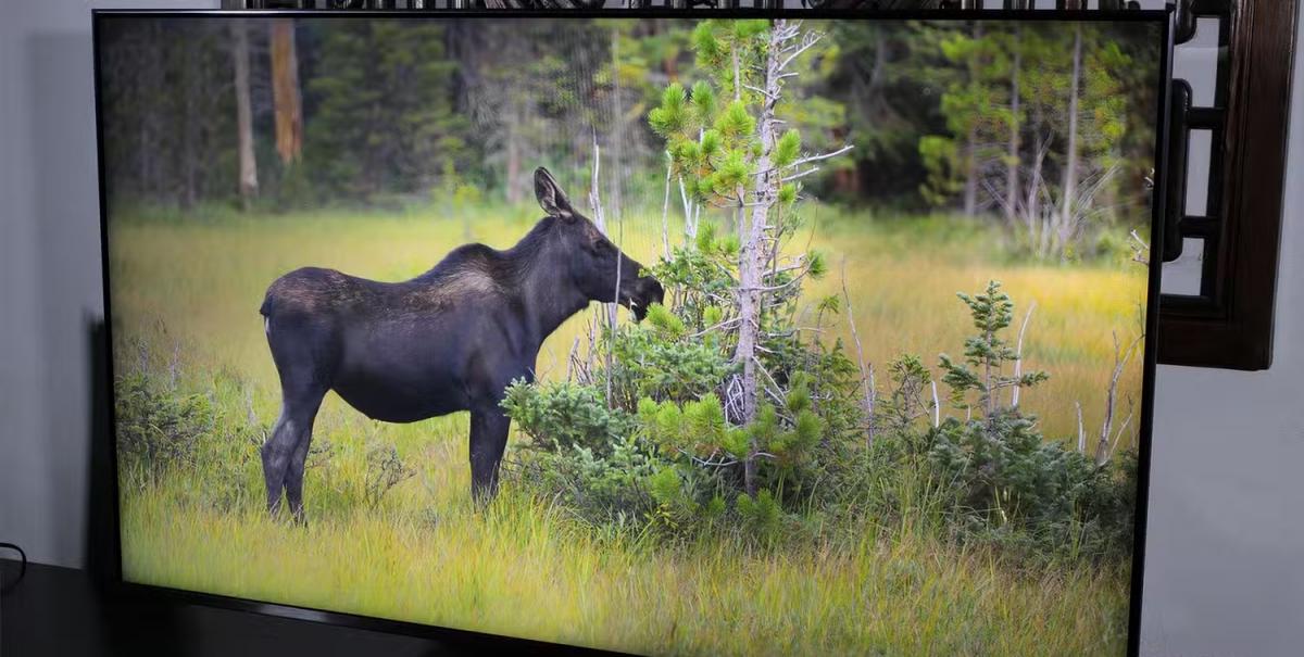фото Pocket-lint фото Pocket-lint