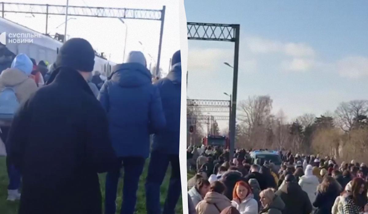 коллаж УНИАН, скриншоты коллаж УНИАН, скриншоты