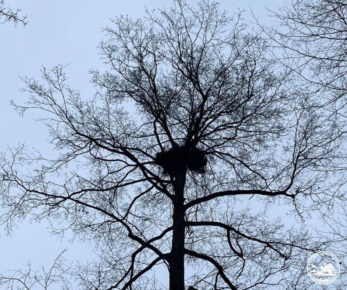 / фото Сергія Домашевського / фото Сергія Домашевського