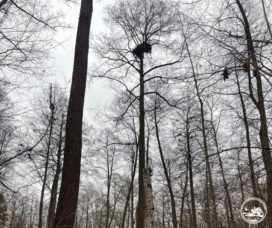 Фото Сергія Домашевського Фото Сергія Домашевського