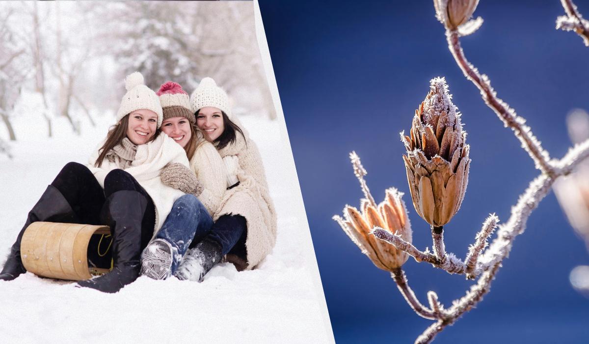 яке сьогодні свято