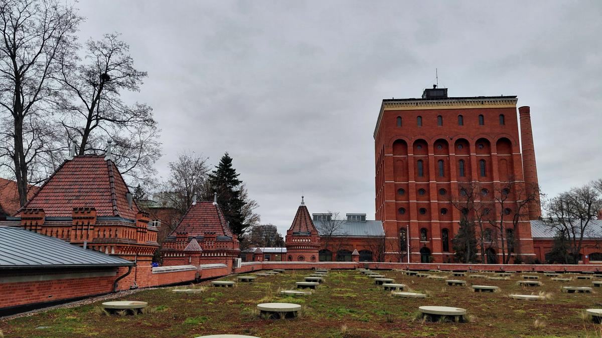 Стара водонапірна вежа у Вроцлаві / фото Марина Григоренко Стара водонапірна вежа у Вроцлаві / фото Марина Григоренко