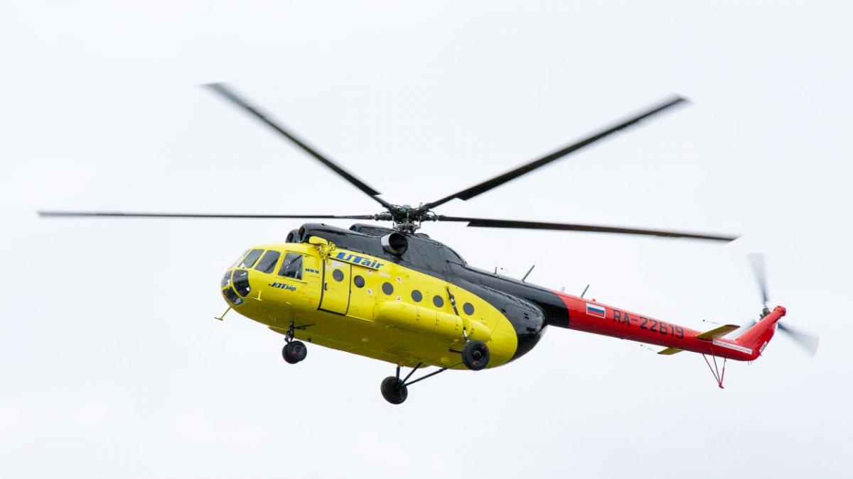 / фото Википедия / фото Википедия