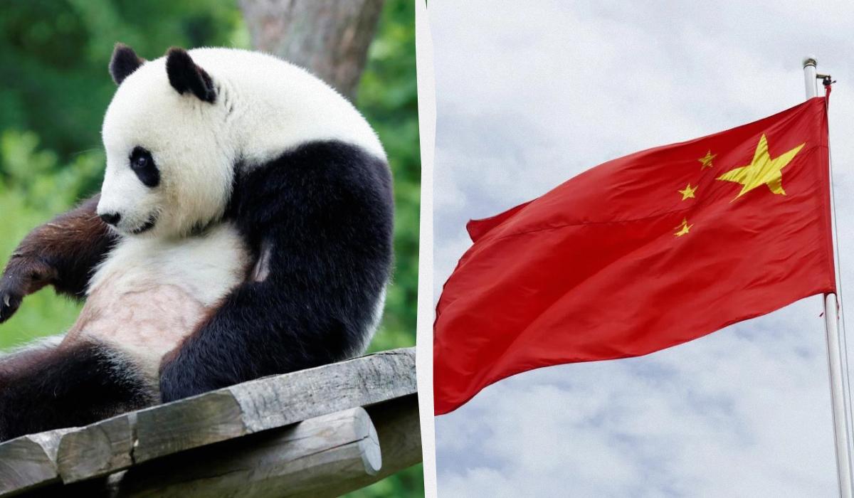 колаж УНІАН, фото Reuters, ua.depositphotos.com