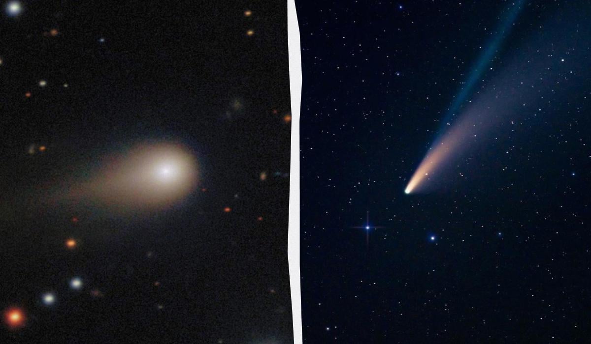 коллаж УНИАН, фото Wikipedia, Unsplash