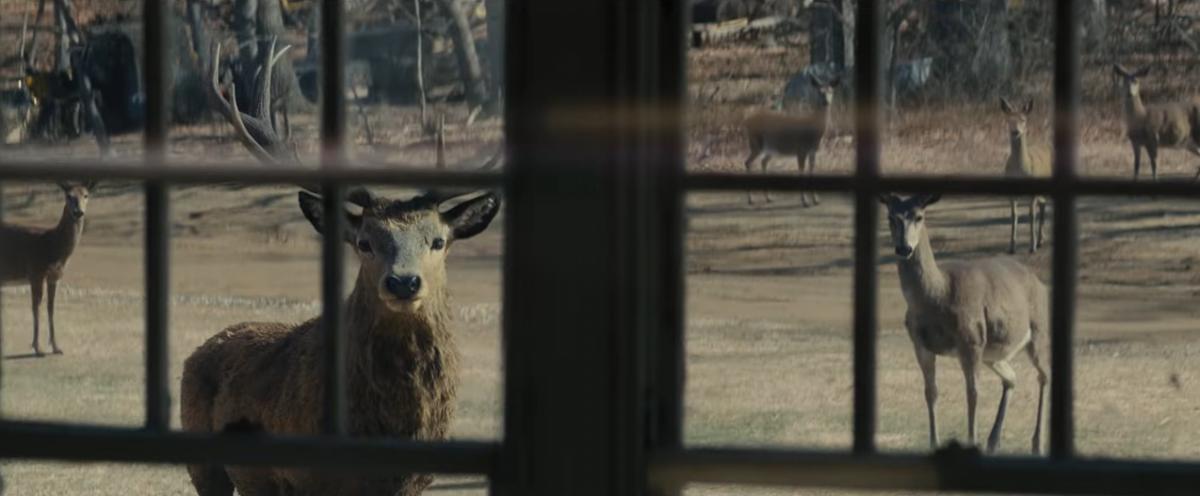 Кадр з фільму "День розкриття" / скріншот з YouTube