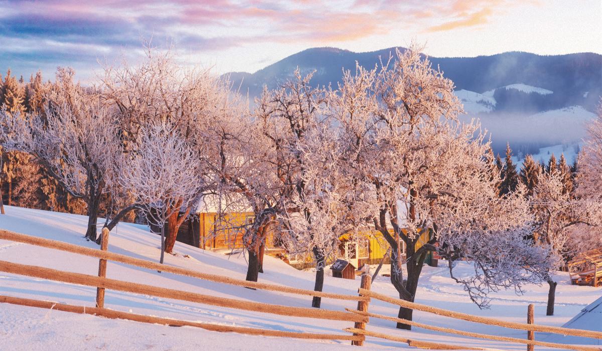 какой сегодня праздник